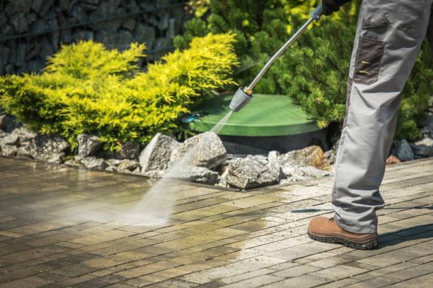 Best Residential Pressure Washing in Burnt Mills, MD